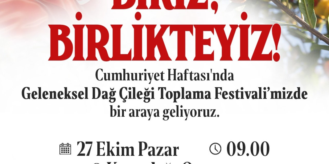 Ataşehir’de Dağ Çileği Toplama Festivali