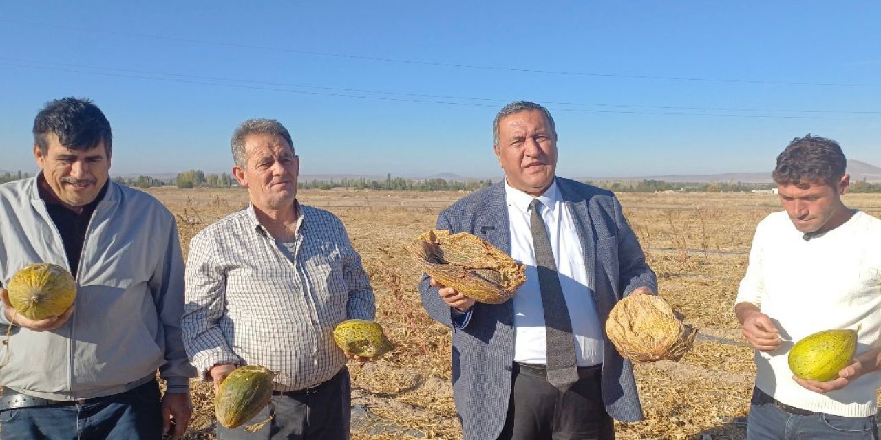 CHP'li Gürer: Kavunda Üretici Mutlu Değil