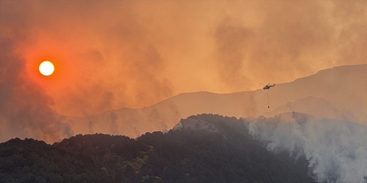 Denizli'de orman yangını