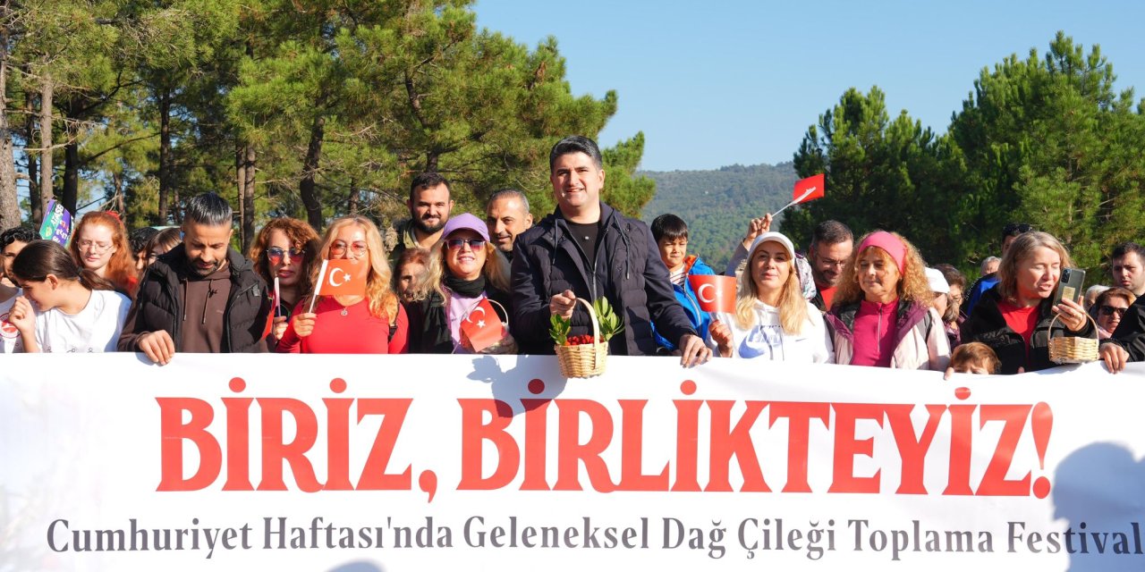 Doğaseverler, 438 Metre Yüksekliğindeki Kayışdağı Ormanı’nda Dağ Çileği Topladı