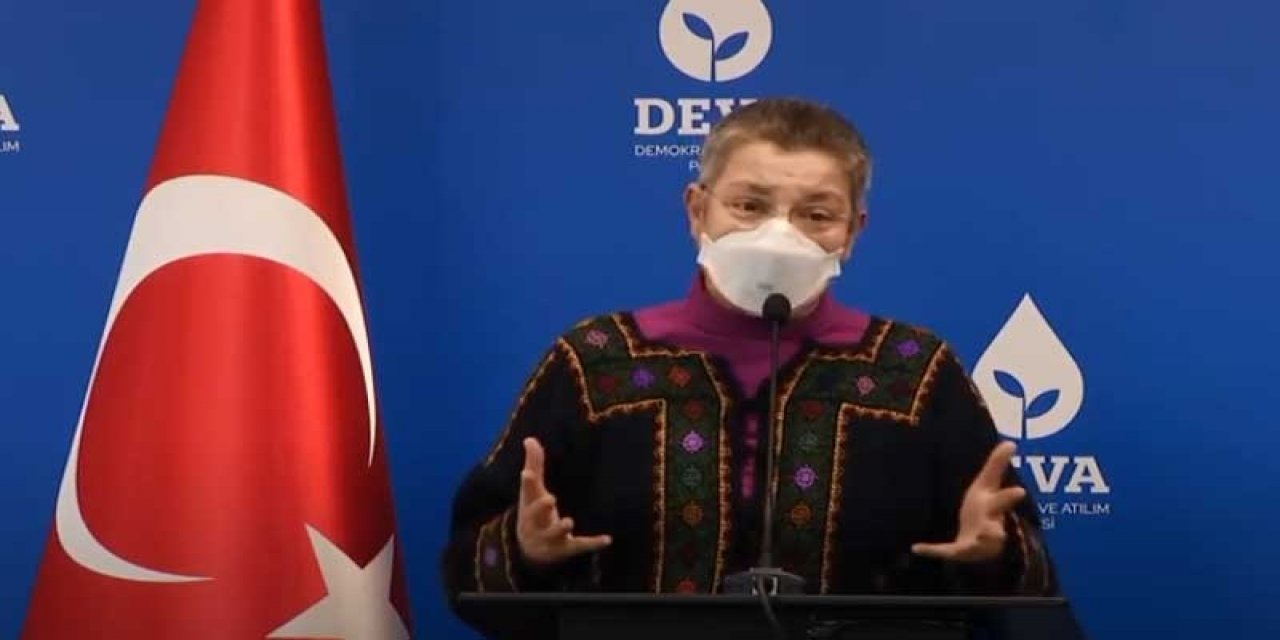 Ali Babacan ile görüşen TTB Başkanı Şebnem Korur Fincancı, vaka sayısını açıkladı