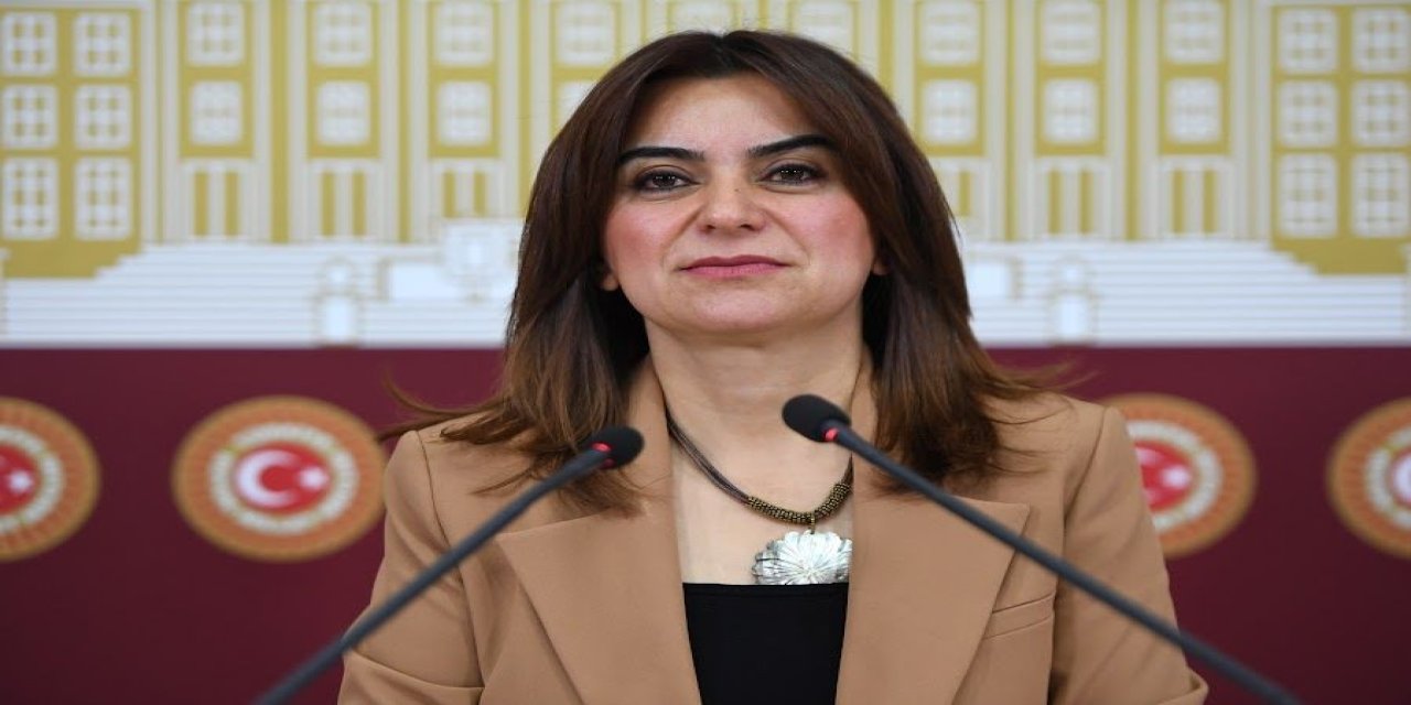 DEM Partili Koçyiğit: Süreç olmasını gerektirecek hiçbir veri yok