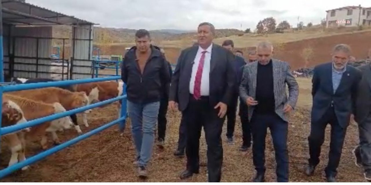 Ömer Fethi Gürer: Et ithalatıyla piyasanın dengesi bozuluyor, üretici emeğinin karşılığını alamıyor