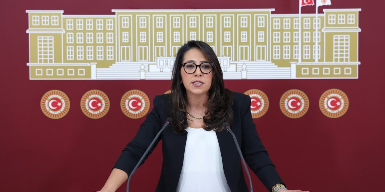 Kadıgil: Bize düşen İHA'ları, SİHA'ları, mermileri yemek olacak