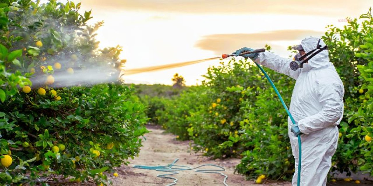 Pestisit nedeniyle Avrupa'dan dönen tarım ürünleri Meclis gündeminde