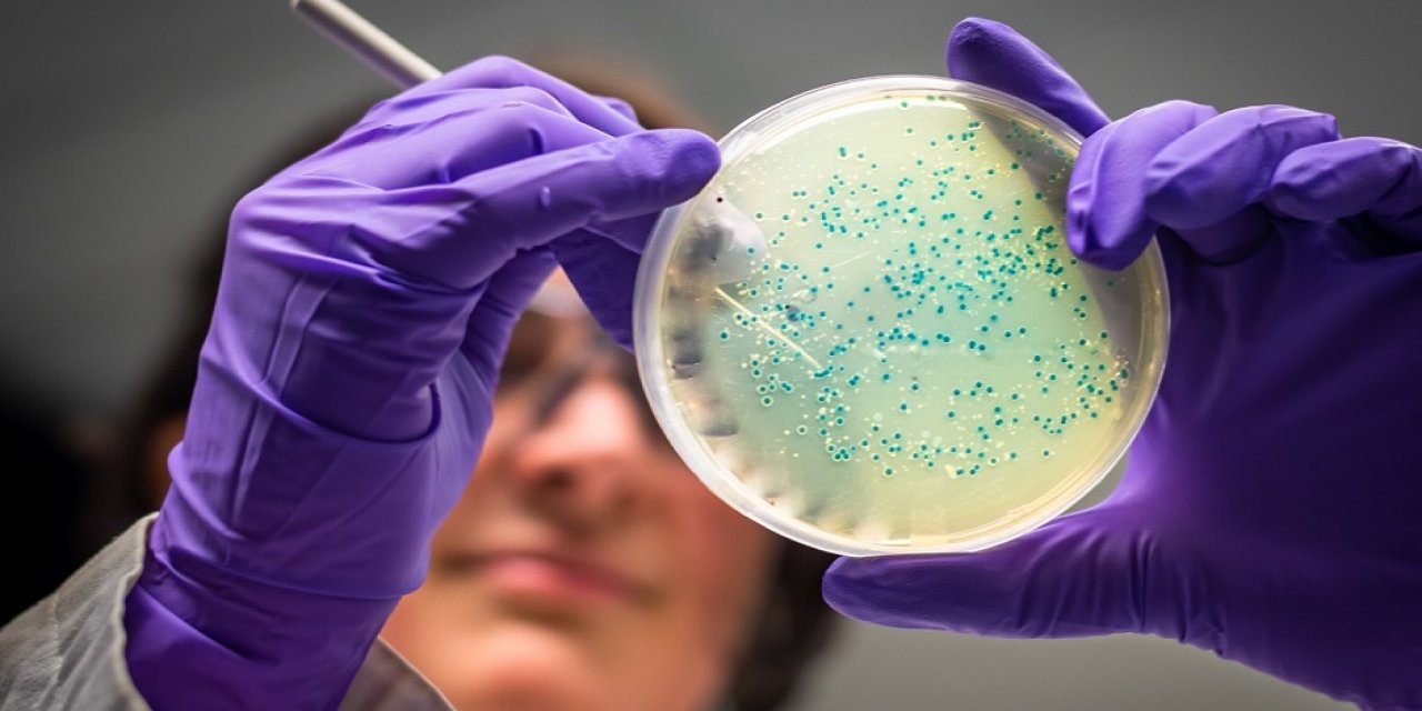 Huzursuz bağırsak sendromu tedavisinde yüzde 78 başarı