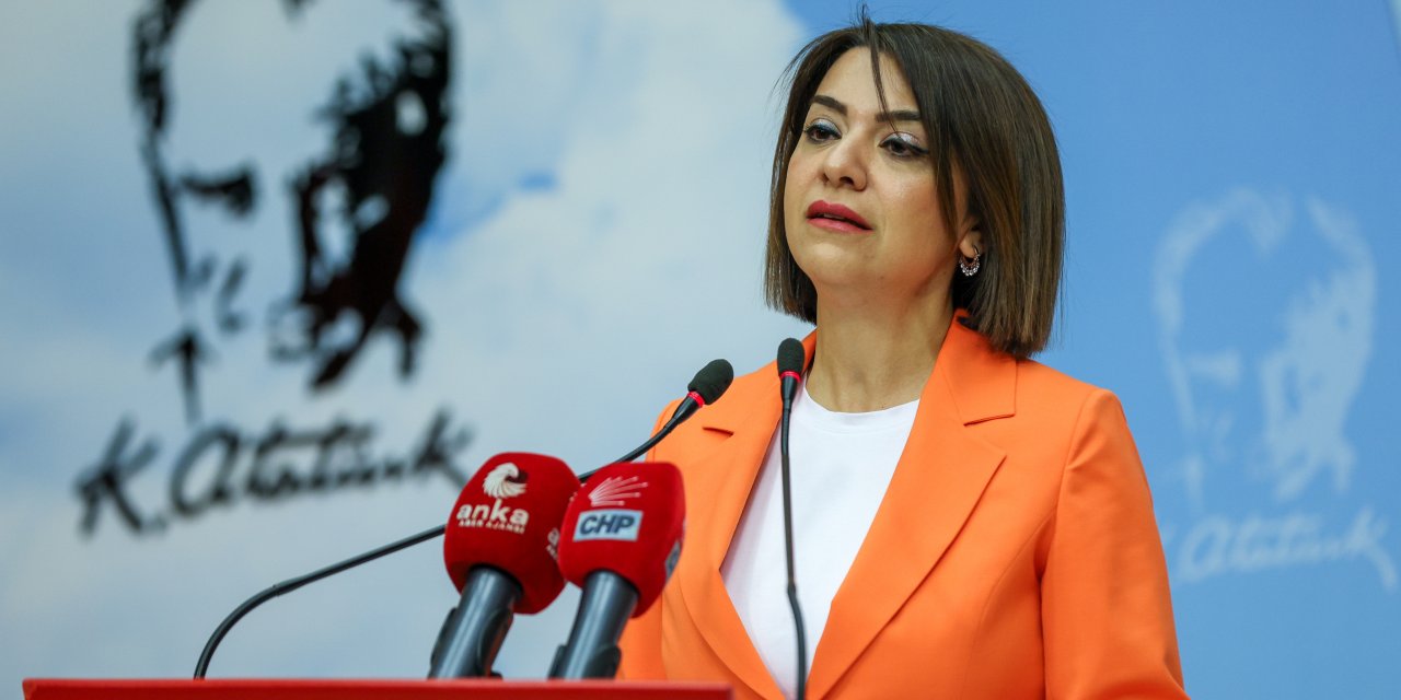 Gamze Taşcıer: "Bu ülkede iktidar için makbul vatandaş, maktul olan vatandaştır"