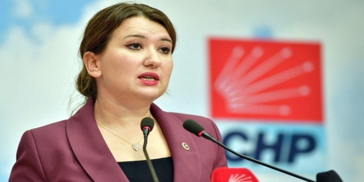 CHP'li Gökçe Gökçen: "Bakanlık hariç herkes cezalandırılabilir, hatta yangını söndürenler bile"