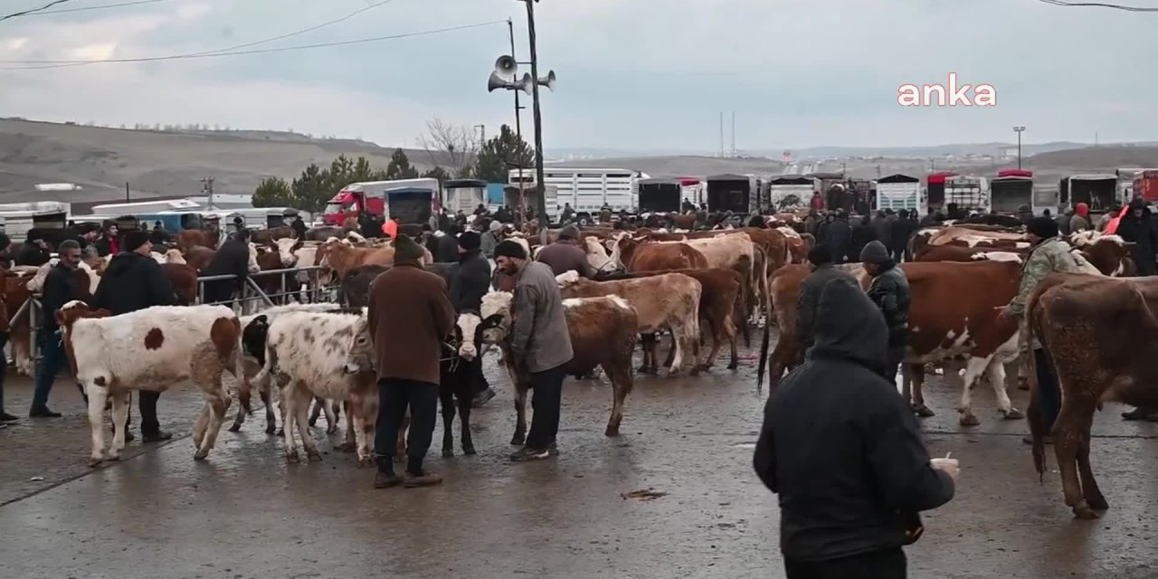Şap hastalığı nedeniyle 2 ilde canlı hayvan pazarları kapatıldı