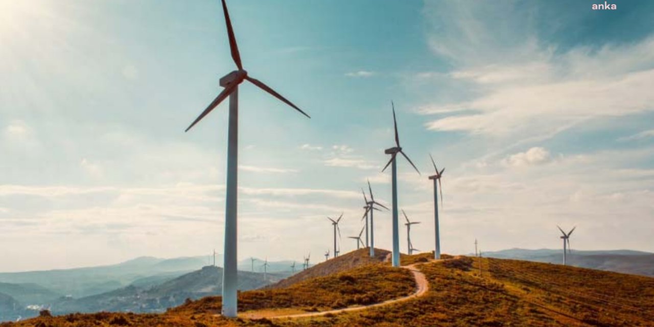 ‘Ağaçlandırılacak alana’ kurulmak istenen RES projesi iptal edildi