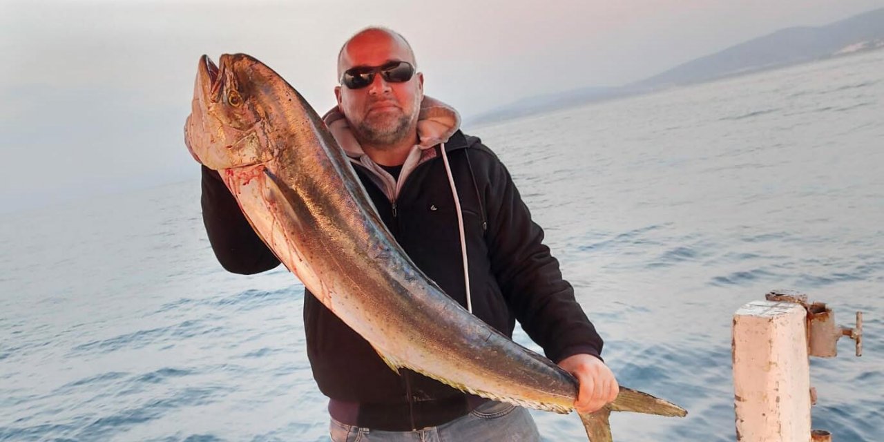 Okyanus balığı 15 kiloluk lambuka, Kuşadası'nda yakalandı