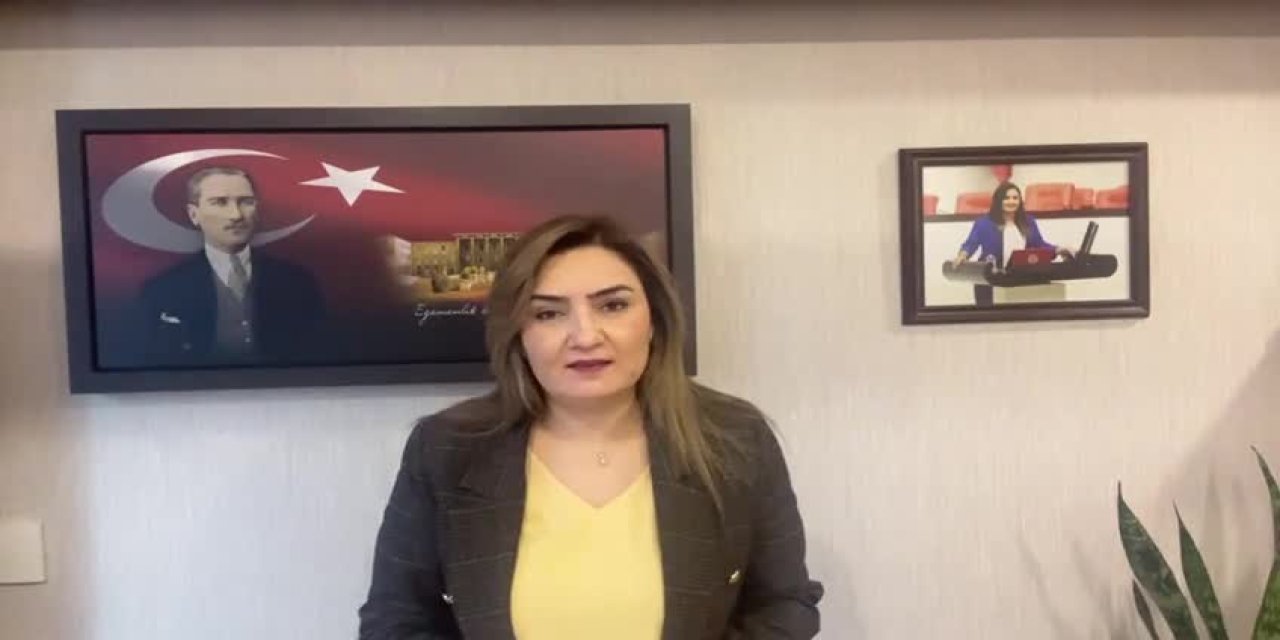 CHP'li Sevda Erdan Kılıç'tan “Cumhurbaşkanına Hakaret” suçunun yürürlükten kaldırılması için kanun teklifi verdi