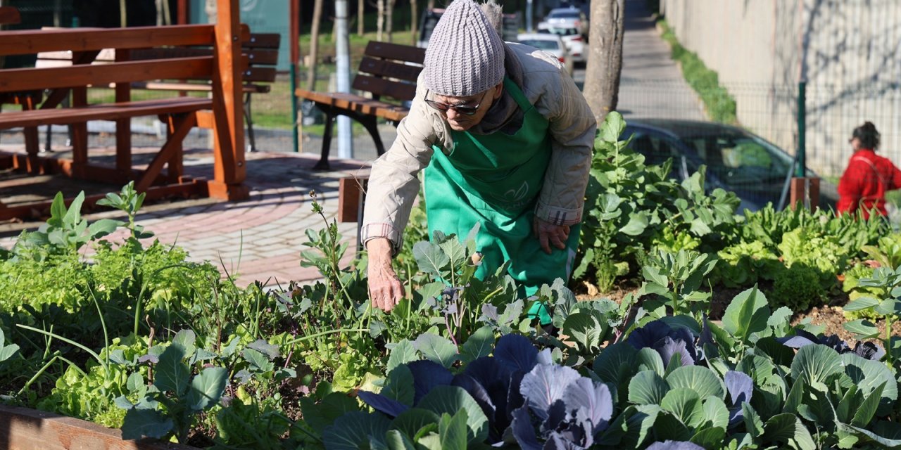 Ataşehir'de Kent Bostanları İçin Başvurular Başlıyor