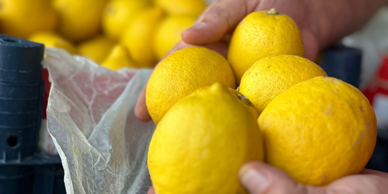 Ticaret Bakanlığı duyurdu: Limon ihracatı durduruldu