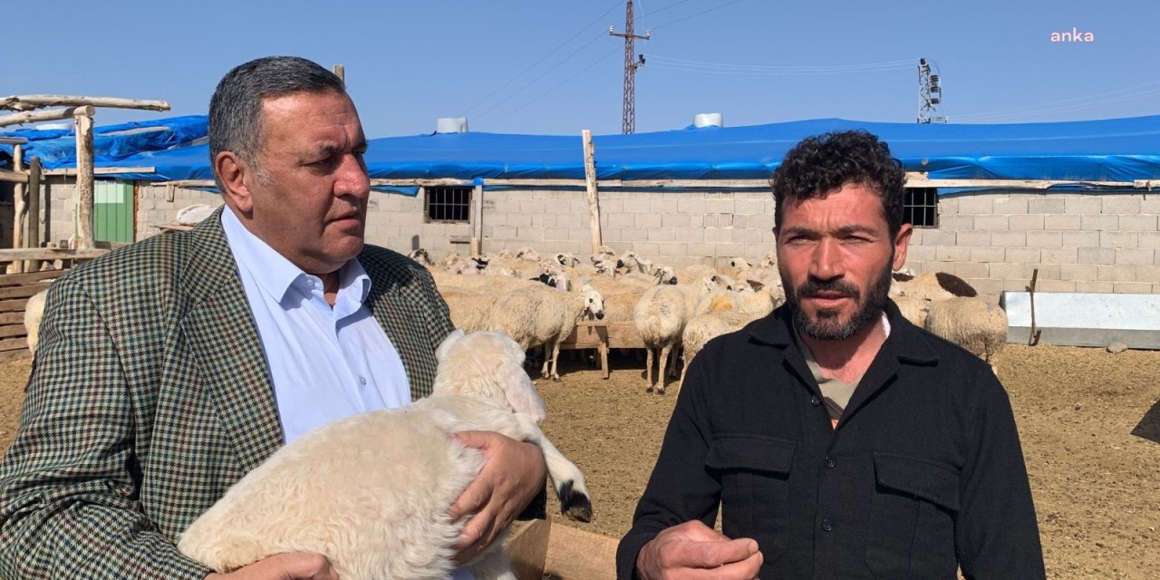 CHP'li Gürer: "Keçiler ve oğlaklar haciz yoluyla satışa çıkarıldı"