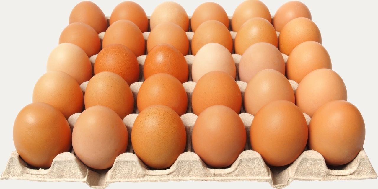 Yumurta fiyatları uçuyor: Tanesi 10 lirayı bulabilir