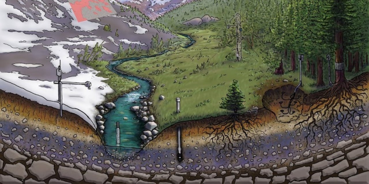 Dünya'nın 'kritik bölgesinde' yeni yaşam formları keşfedildi