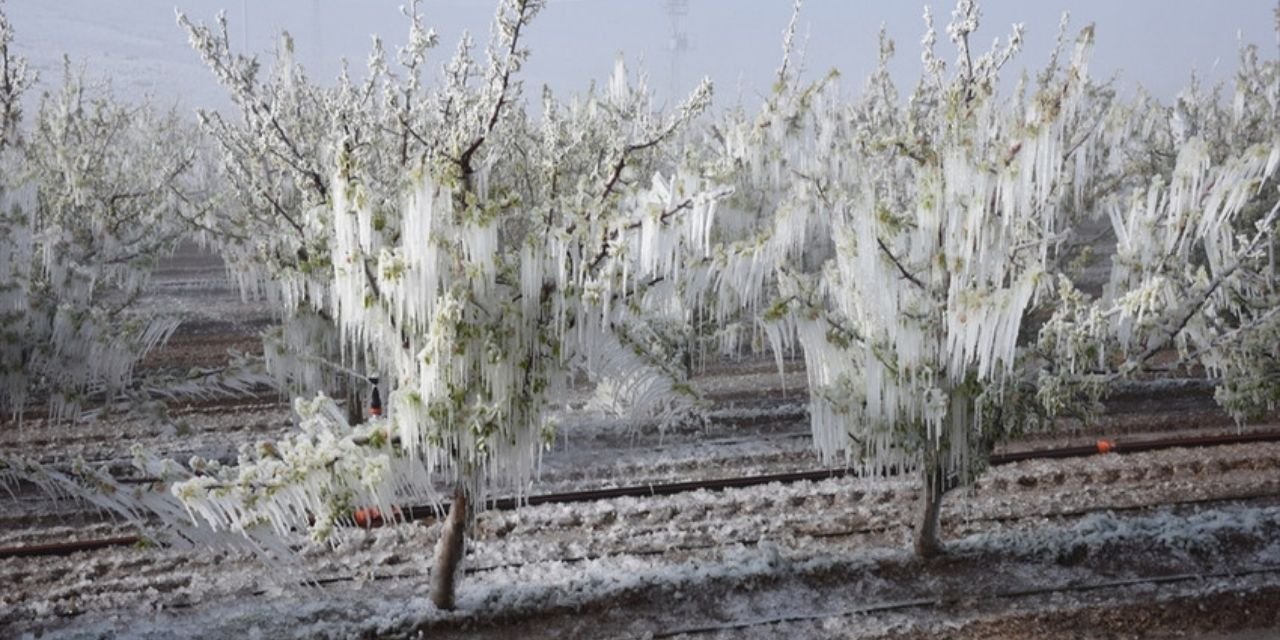 Meteoroloji don uyarısında bulundu