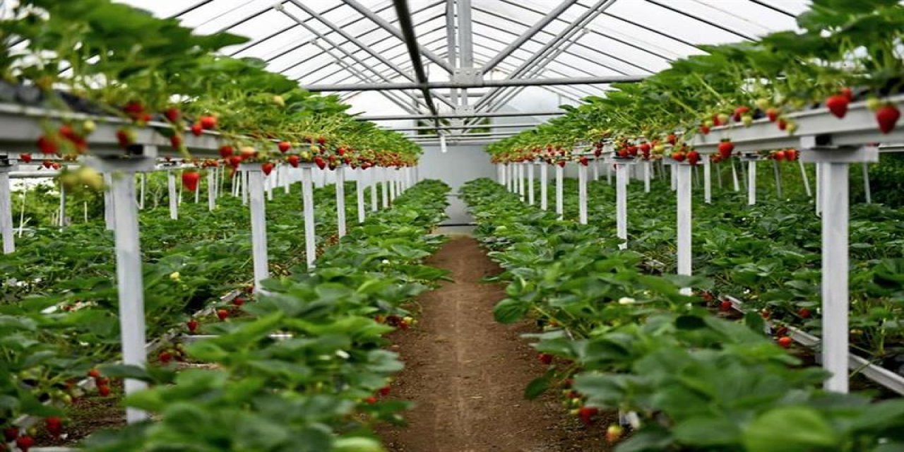 Hasadı en hızlı yapılan ürün! Üstelik kazancı da yüksek