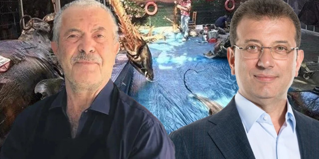 Beylikdüzü'nde Kaçak Müzesi Yıkılan Balıkçı Kenan, İmamoğlu'na Karşı Tanık Oldu