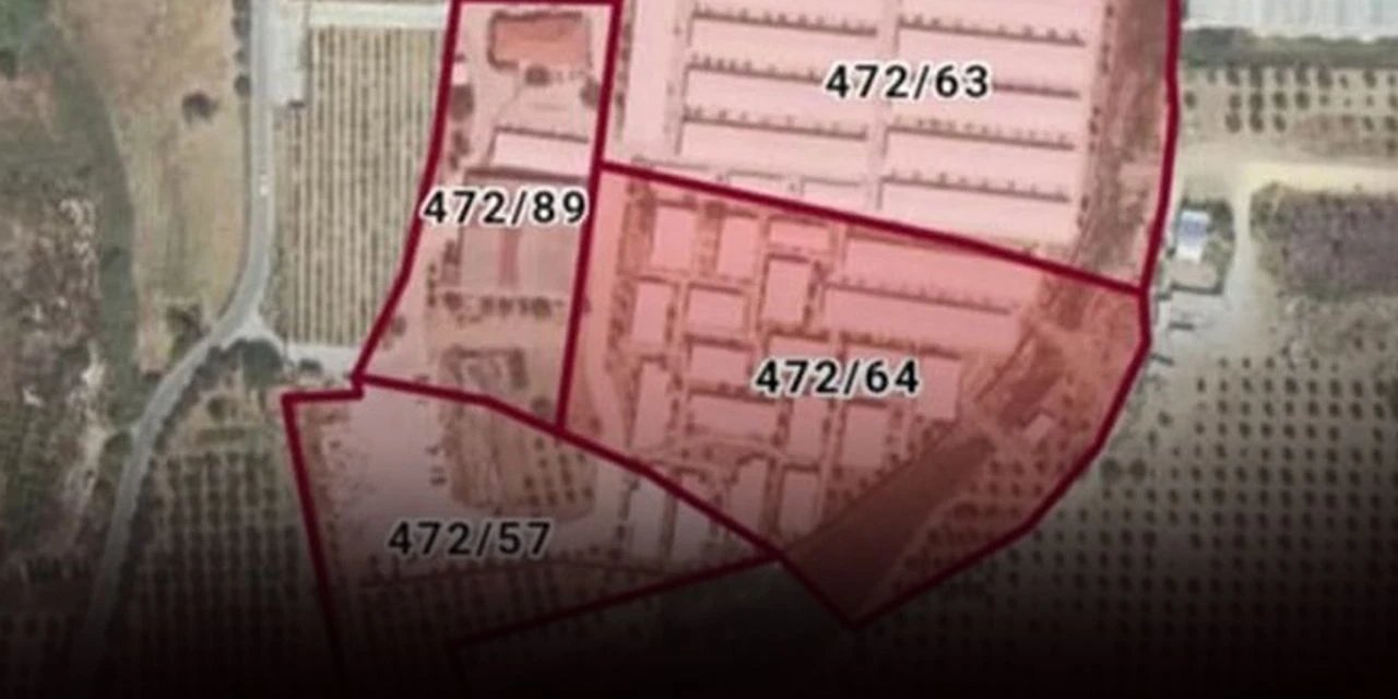 Çeşme Çevre Derneği: Kıyılar işgal ediliyor, tarım alanları betonla doluyor