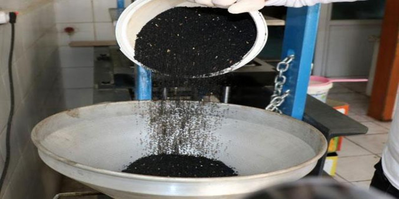 Sabah uyanır uyanmaz 1 avuç çörek otu yemenin etkisi!