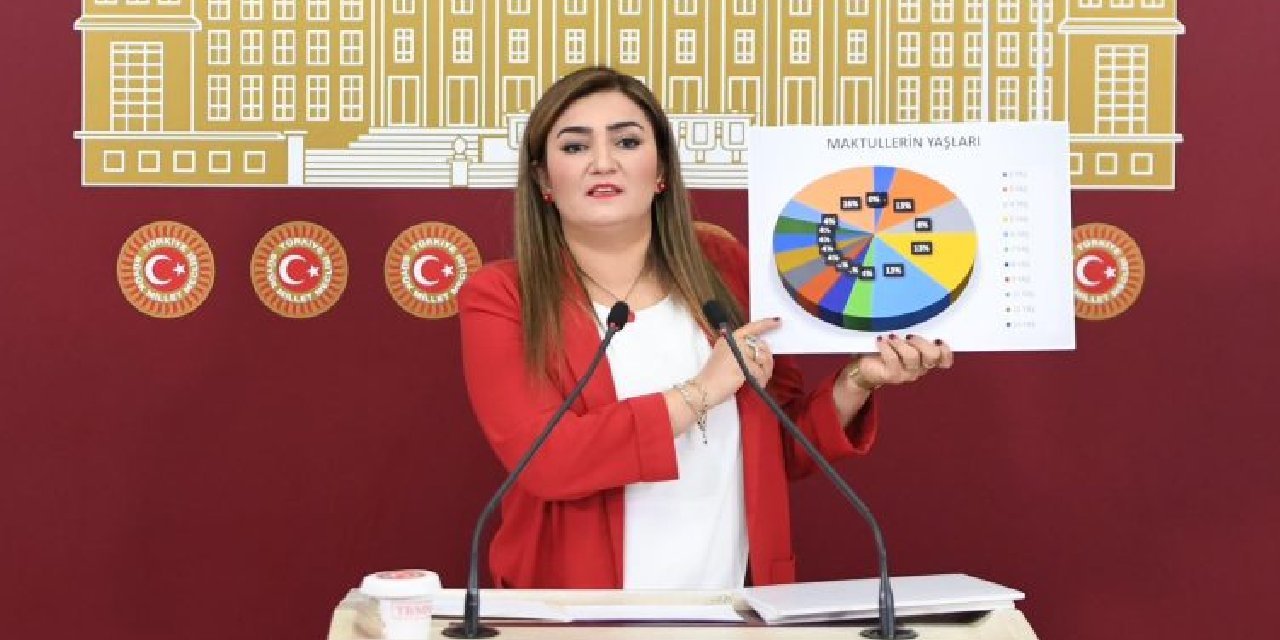 Milletvekilleri ve aktivistler hükümetin ev içi şiddet konusunda harekete geçmesini istiyor