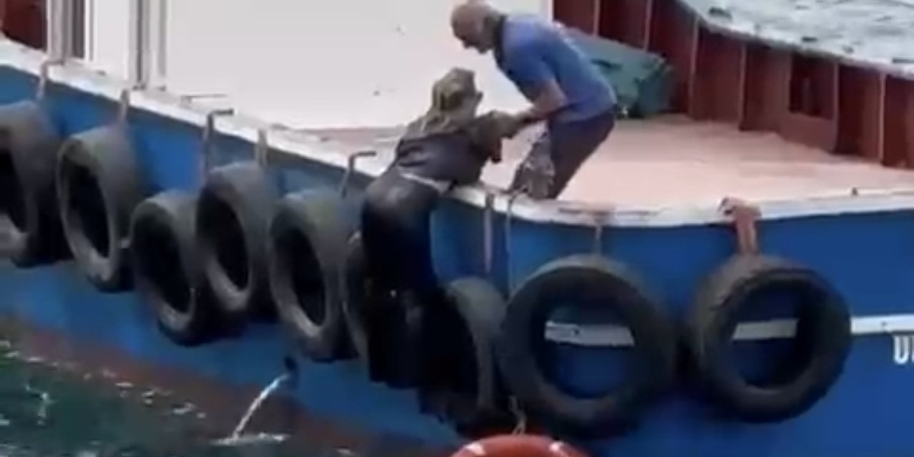 İstanbul'da vapurdan denize düşen kadını balıkçı kurtardı