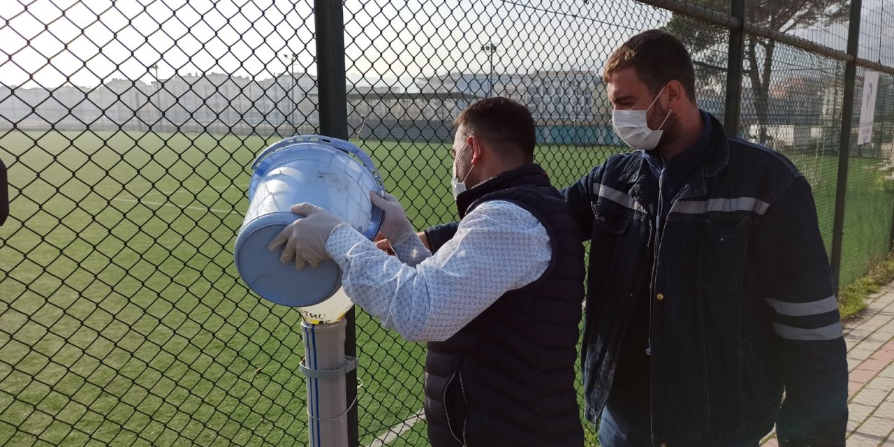 Belediye kısıtlamada sokak hayvanlarını unutmadı