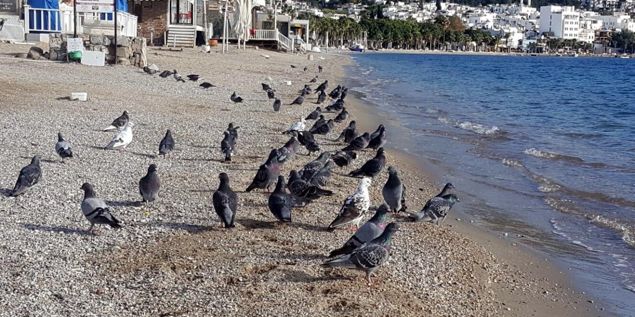 Turistik ilçelerde sessizlik