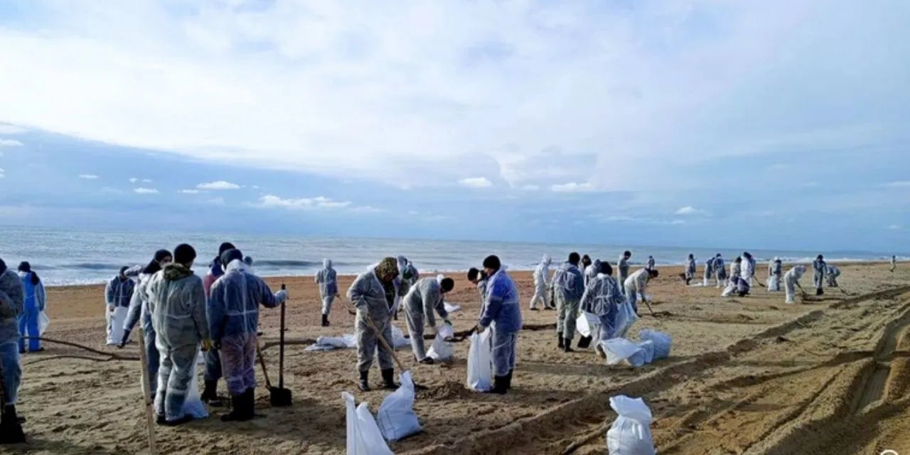 Petrol sızıntısı ekolojik felakete dönüştü: 32 yunus öldü
