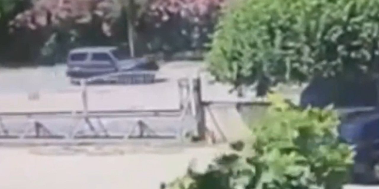 Daltonlar, Yunan Gizli Servisi ajanlarına ateş açtı