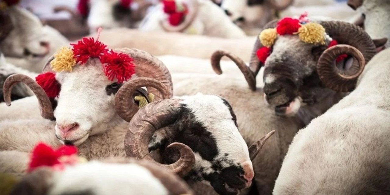 İlk sırada Ankara var: 14 bin kişi kurban kesimi sırasında yaralandı