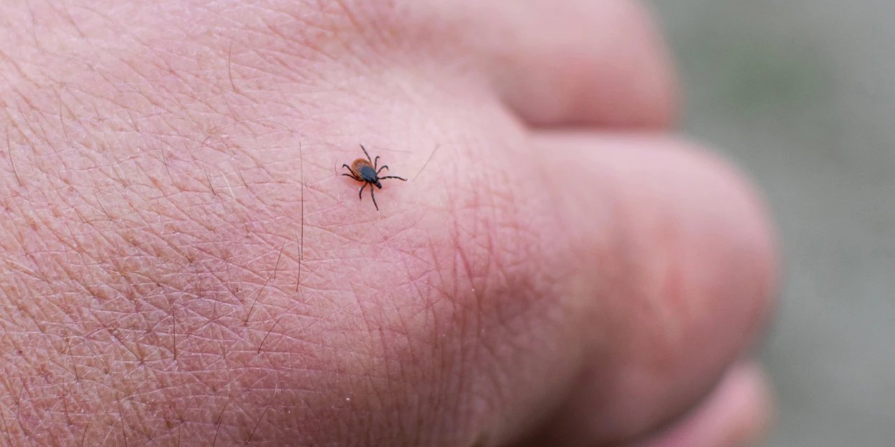 Kene kâbusu büyüyor: Can kaybı 6'ya yükseldi