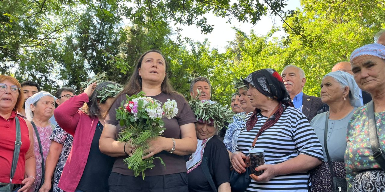 Zeytinlikleri talan edecek yasa tasarısı komisyondan geçti: Neler getirecek?