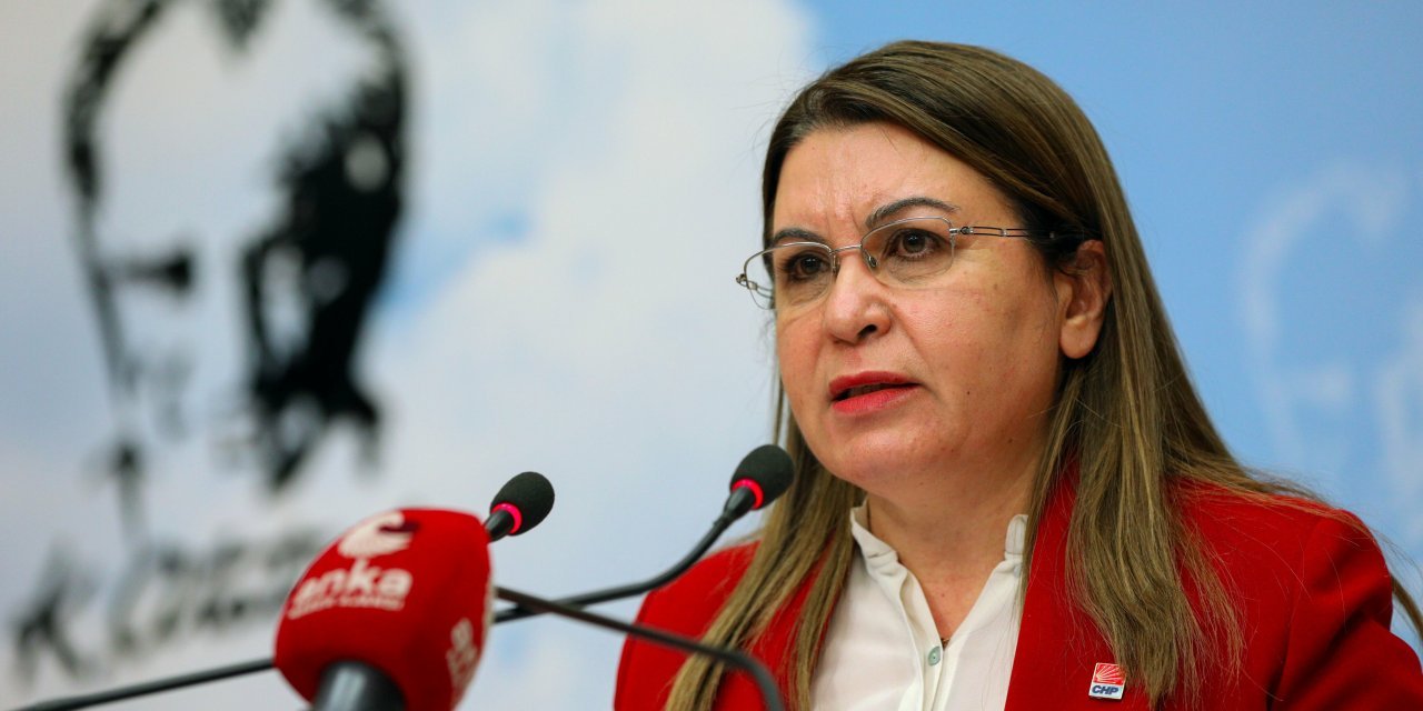 Karaca: Doğanın sömürgeci madenciliğe teslim edilmesine karşı direniş şart