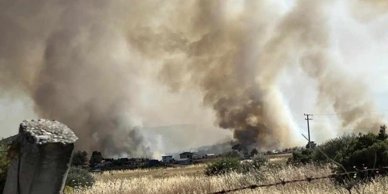 İzmir’deki orman yangını kontrol altına alındı!