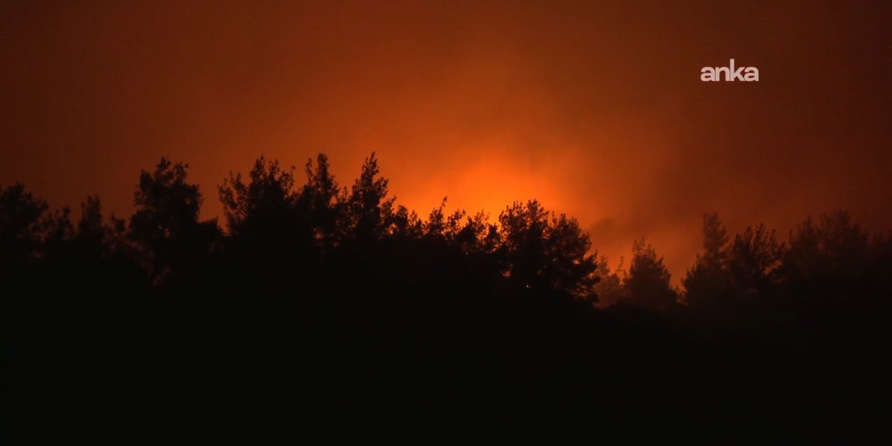 İzmir'de yangın gece boyunca devam etti: Müdahale sürüyor