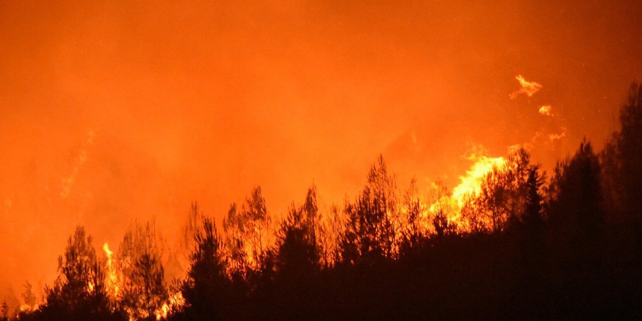 Buca'da yangın: İzmir - Aydın Otoyolu kapandı