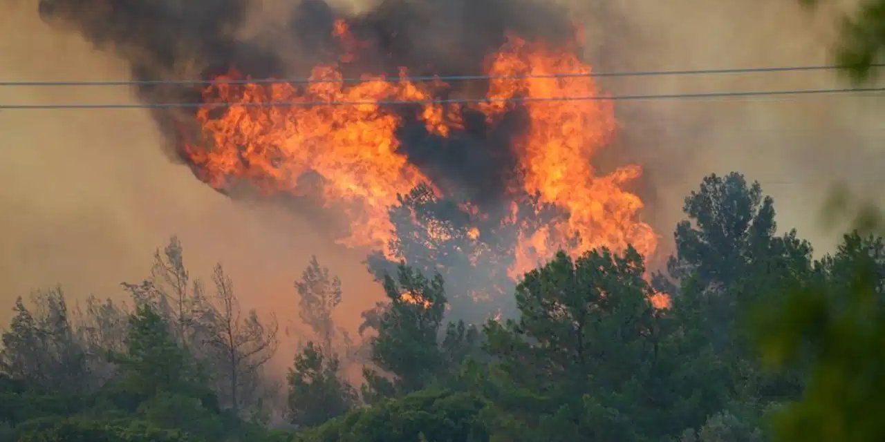 İzmir ve 5 ilde orman yangınları kontrol altına alındı
