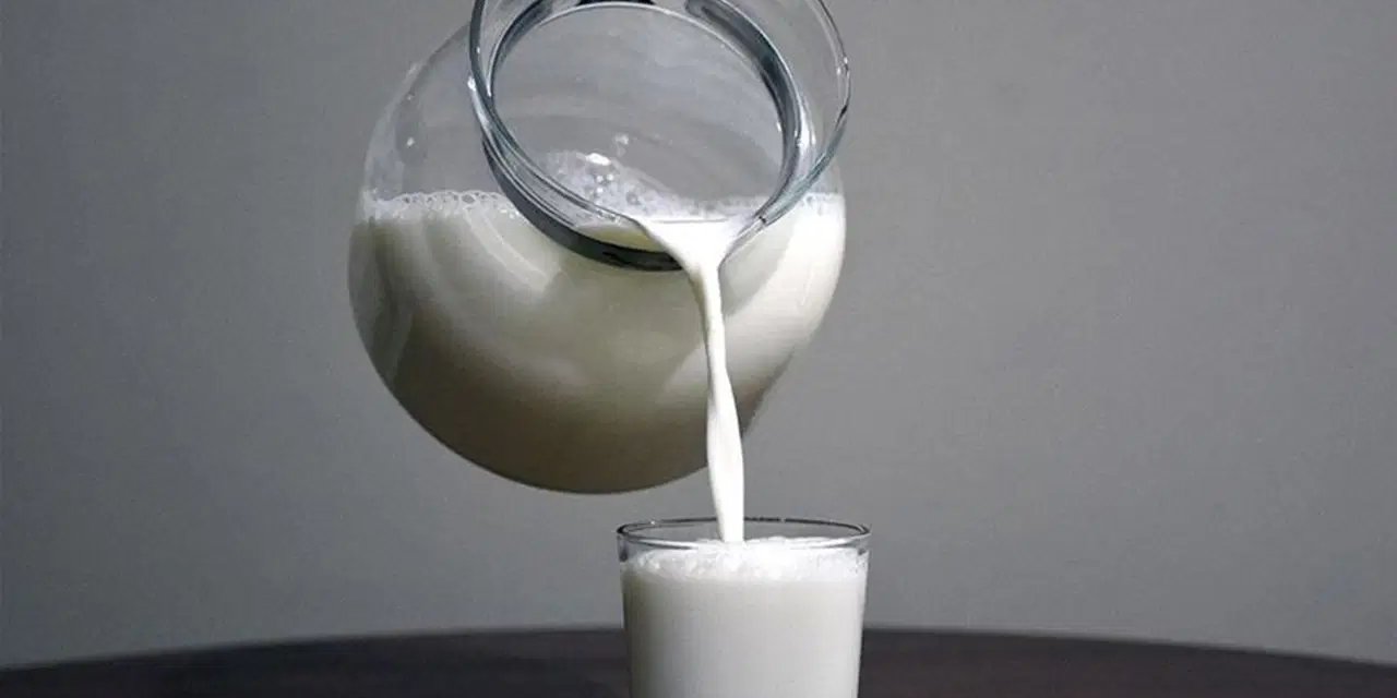 Bakanlık duyurdu: 4 büyük süt şirketine milyonluk ceza