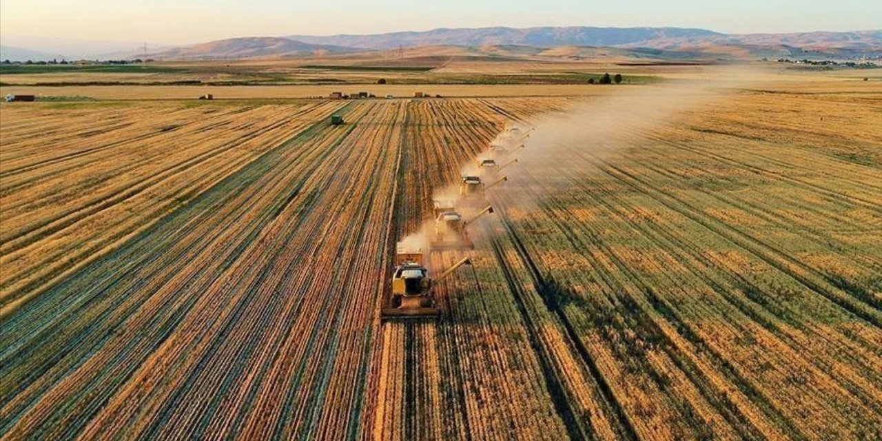 Avrupa'da Türkiye'den kaçak pestisit alarmı