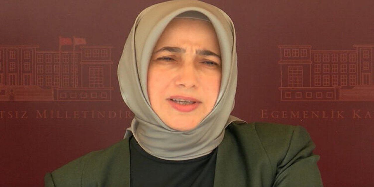 'Sen kendin organize edebiliyorsan kendin organize et, eğer bize ihtiyacın var ise biz yardımcı olalım. Cumhurbaşkanı Erdoğan'dan, AKP'li Zengin'e;  'BOLCA EKRANA ÇIK'