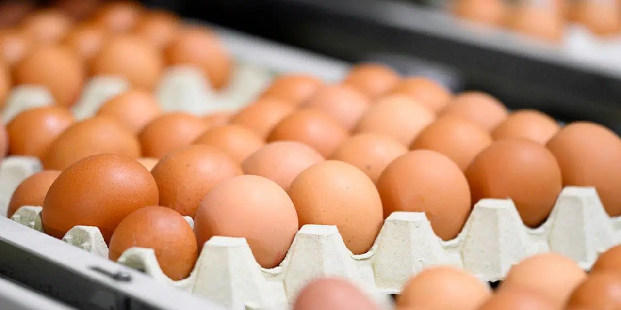 Resmi Gazete'de yayımlandı... Yumurta satışında yeni dönem!