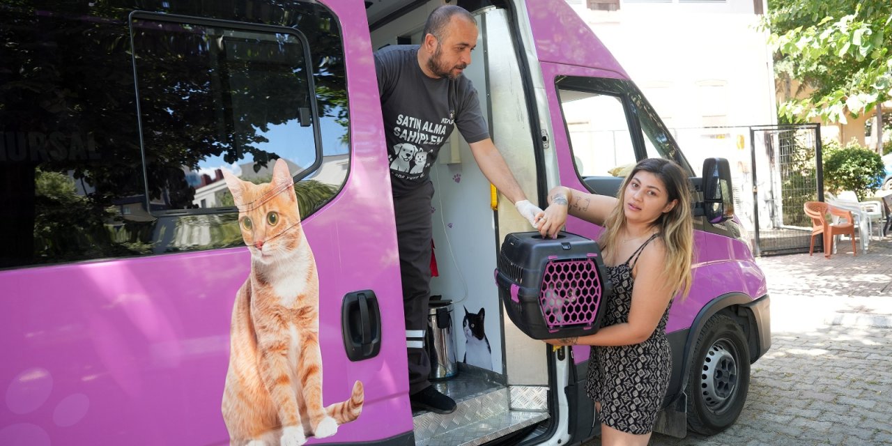 Ataşehir Belediyesi’nden Sokak Hayvanlarına Modern Tedavi İmkânı