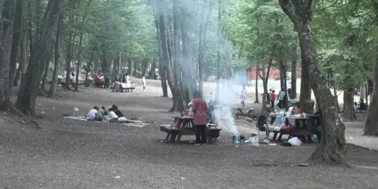 Ankara'da mangal ve ateşli piknik yasaklandı