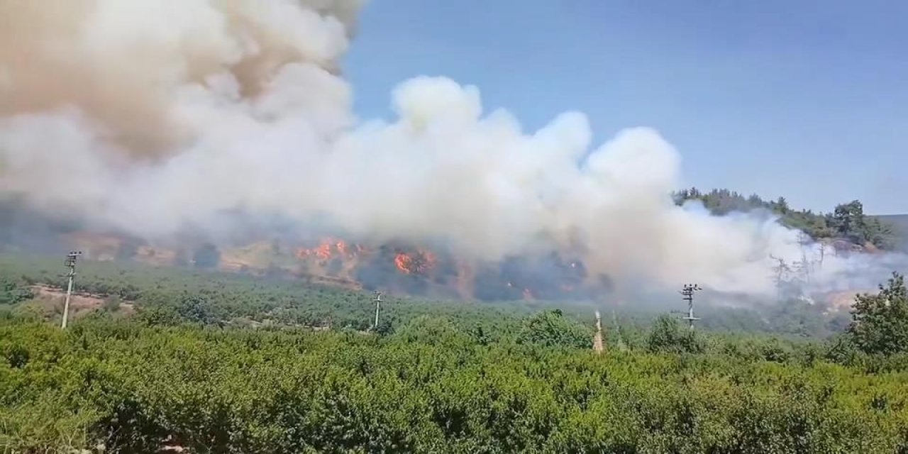 CHP'li Öztürk: Bursa'daki yangının başlangıç noktasında benzin kokusu vardı