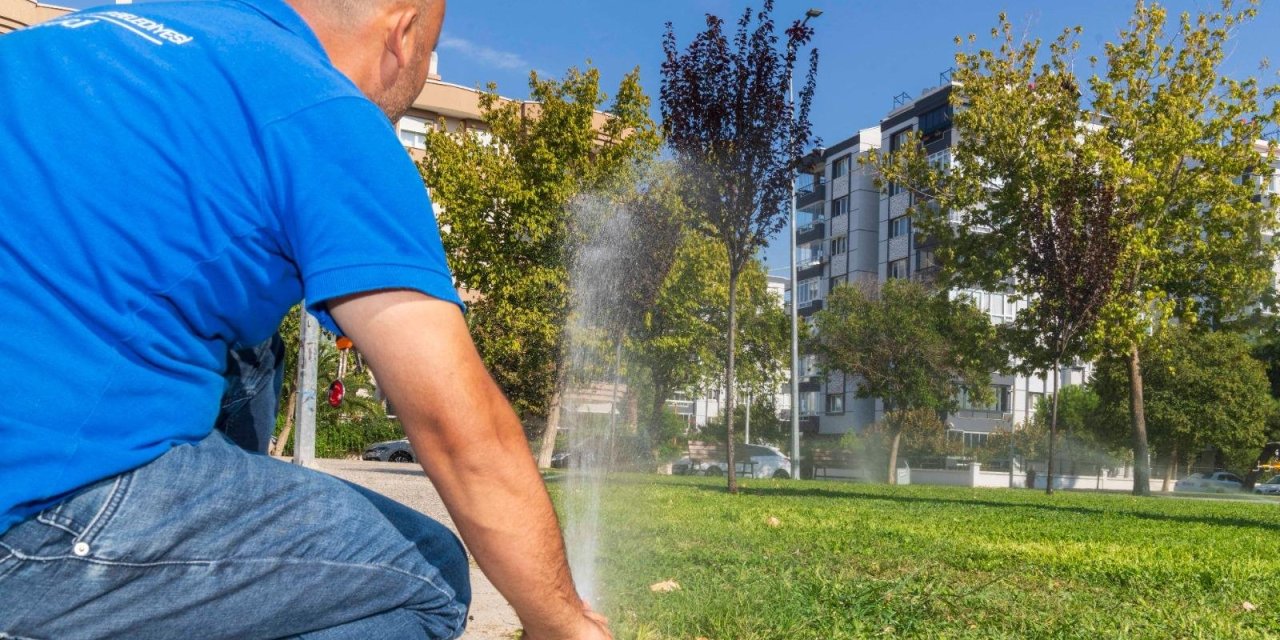 İzmir'de kamusal alanlar iklime uygun doğal bitki türleriyle yeşillendiriliyor