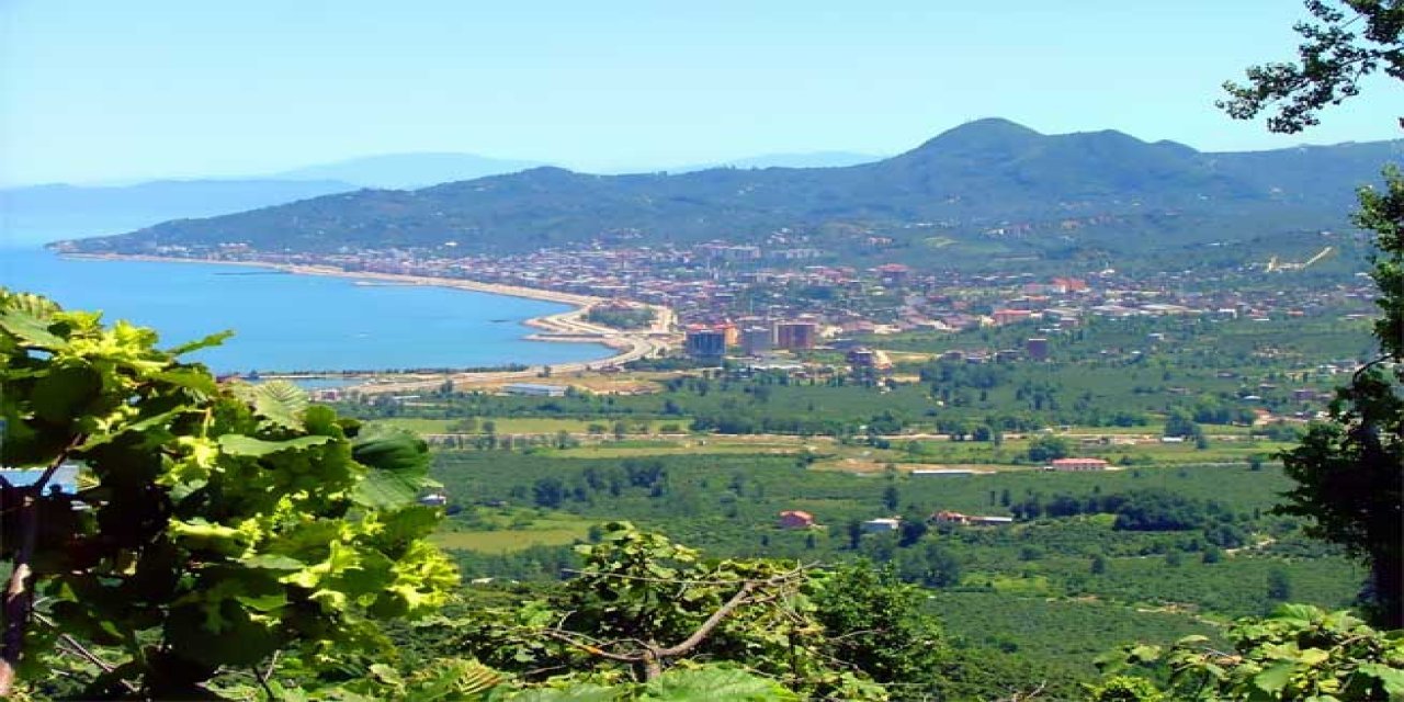 Giresun'da fındık ve çay bahçelerine sondaj: 'ÇED gerekli değil' kararı verildi