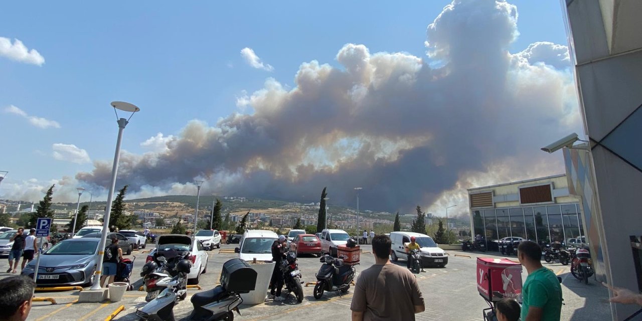 Çanakkale'de orman yangını: Havadan ve karadan müdahale sürüyor, bir itfaiye aracı yandı
